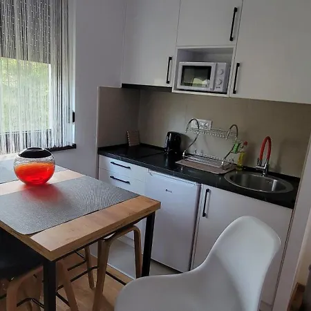 Alexia Apartment Zlatibor