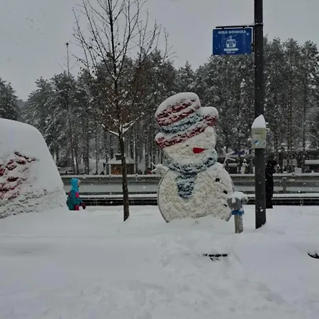 Apartament Alexia Zlatibor