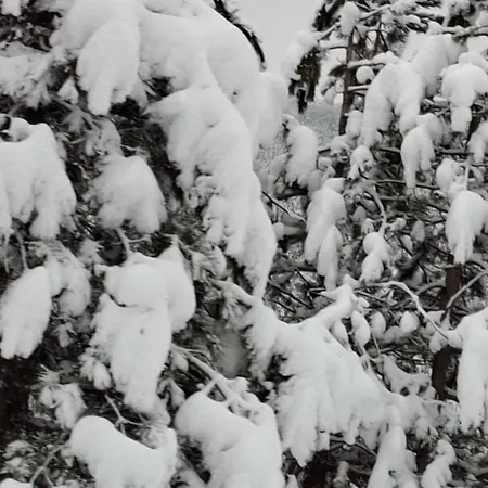 Apartament Alexia Zlatibor