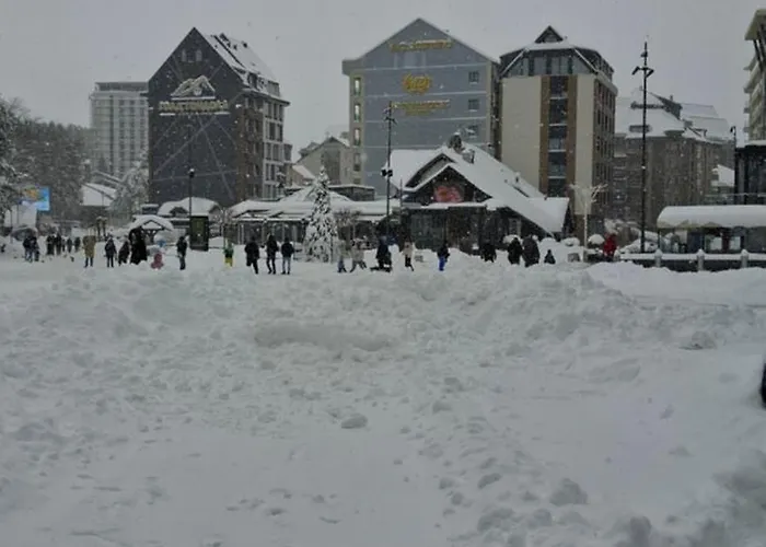 Alexia זלאטיבור