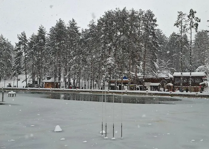 Alexia דירה זלאטיבור