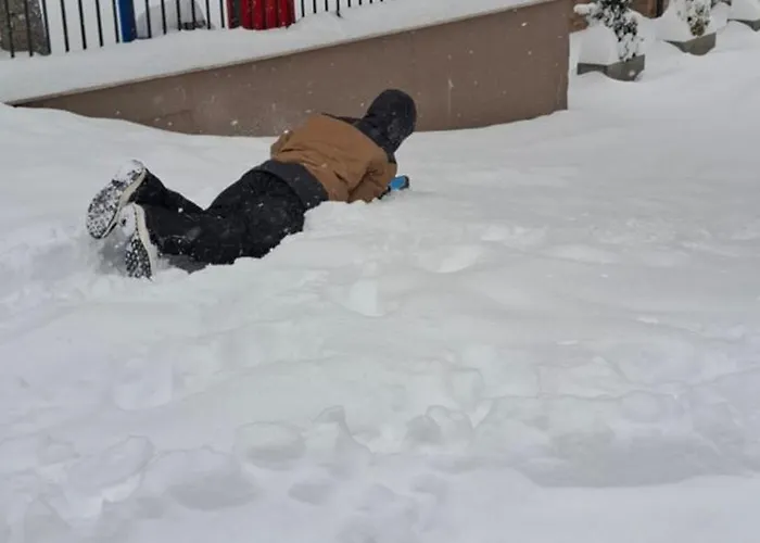 Alexia זלאטיבור