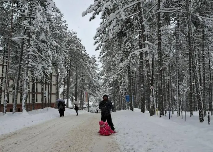 דירה Alexia זלאטיבור